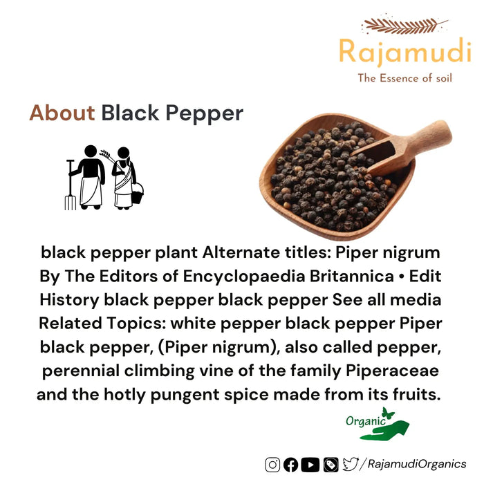 Organic Black Pepper - Kali Mirch  | Naturally Processed, Farm Picked  - Rajamudi Organics