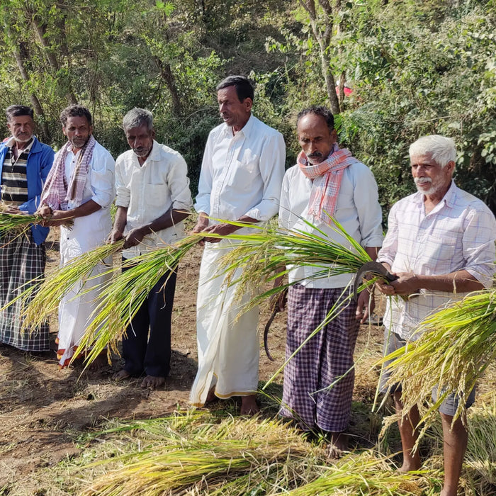 Rajamudi Rice