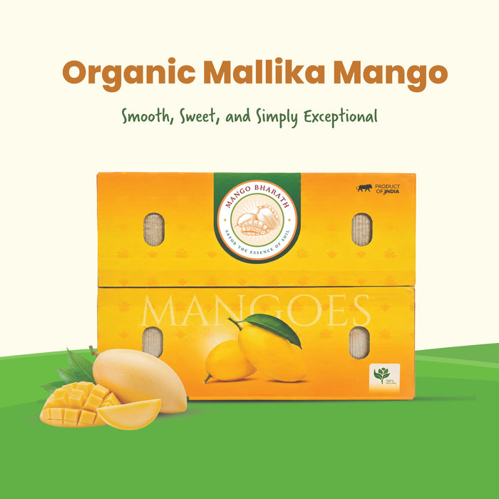 Rajamudi Organics — Organic Mallika Mangoes | Fibre-Free, Intensely Aromatic | Farm-Fresh Seasonal Delivery
