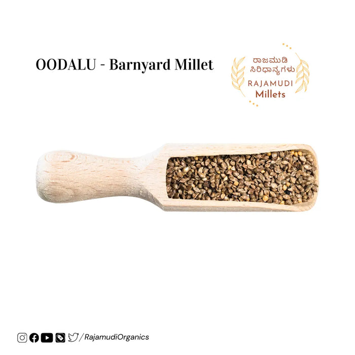 barnyard millet